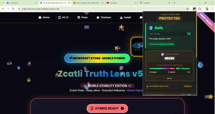Website scanning demo